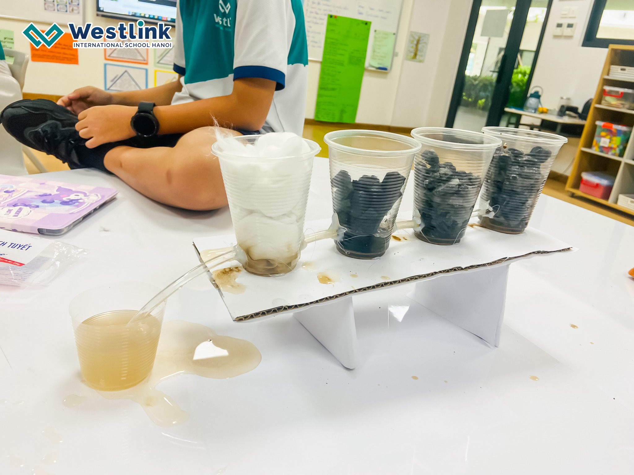 💦Explore Water Purification Project of Grade 4