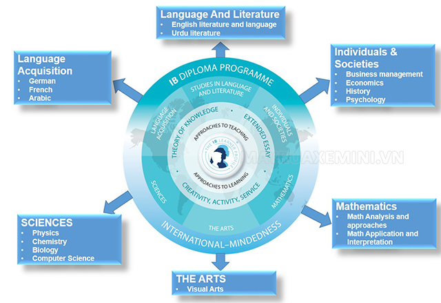 ib program diploma