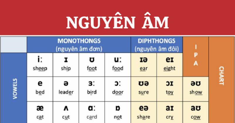 Cách Đọc Bảng Phiên Âm Tiếng Anh IPA Chuẩn Quốc Tế