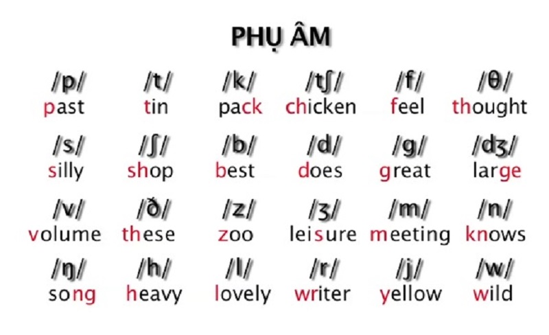 Những phụ âm trong bảng phiên âm tiếng anh IPA