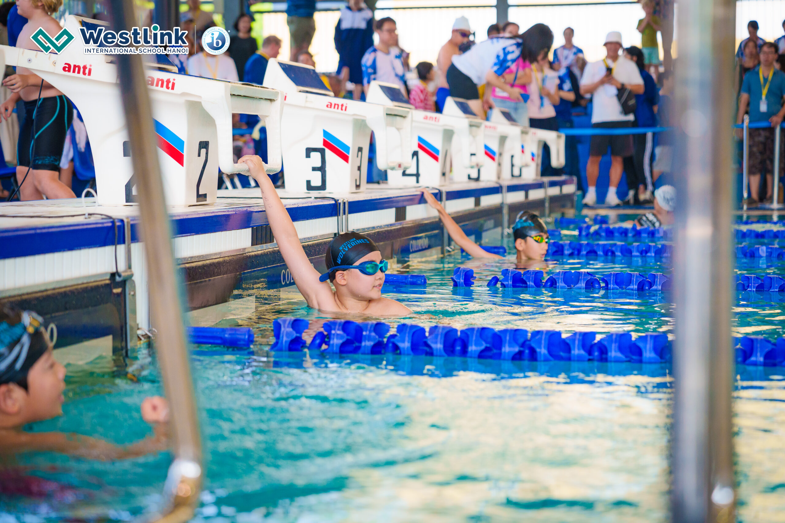 Westlink Tỏa Sáng tại Giải Bơi UNIS Invitational