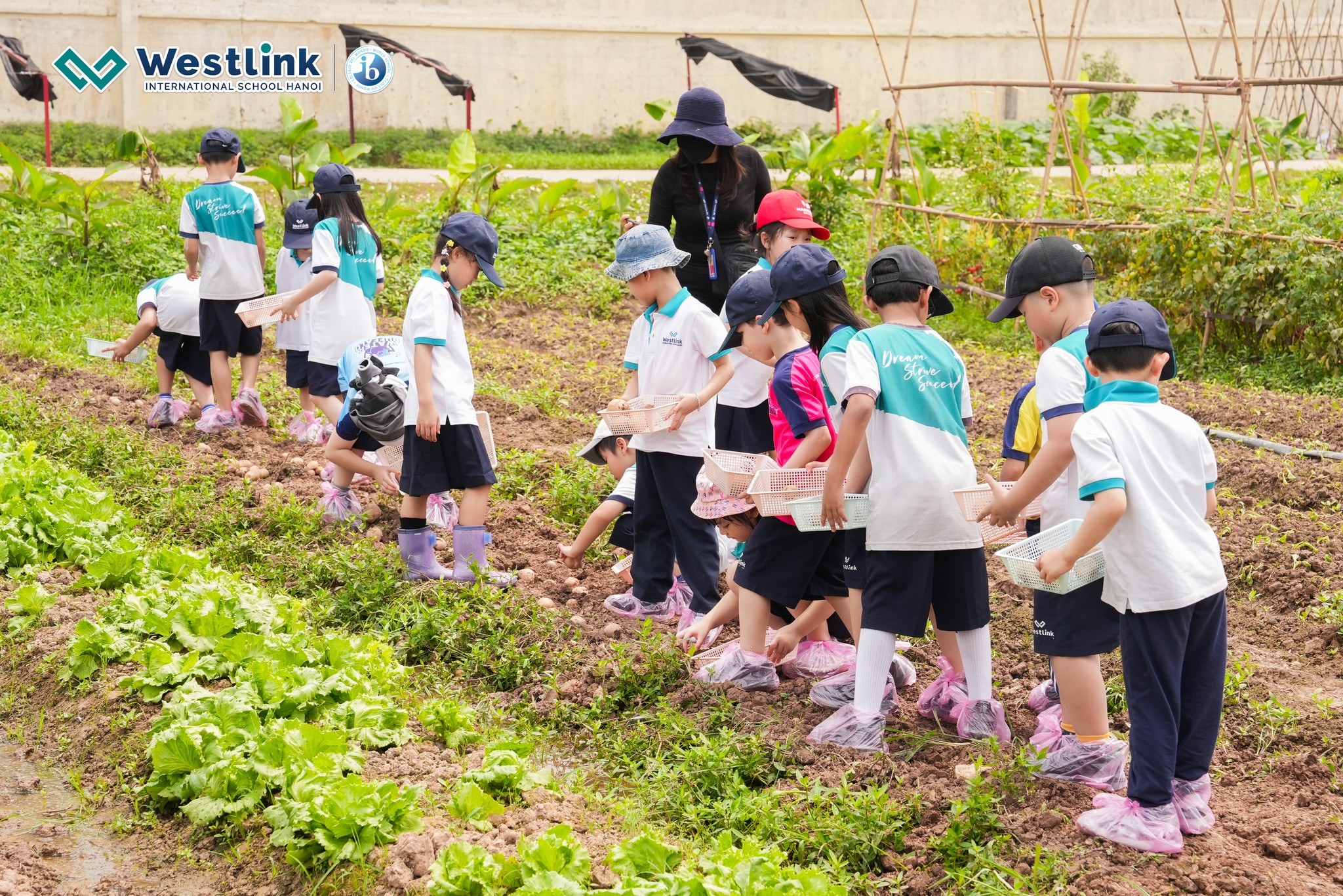 Field Trip to iFarm with our Grade 1 students