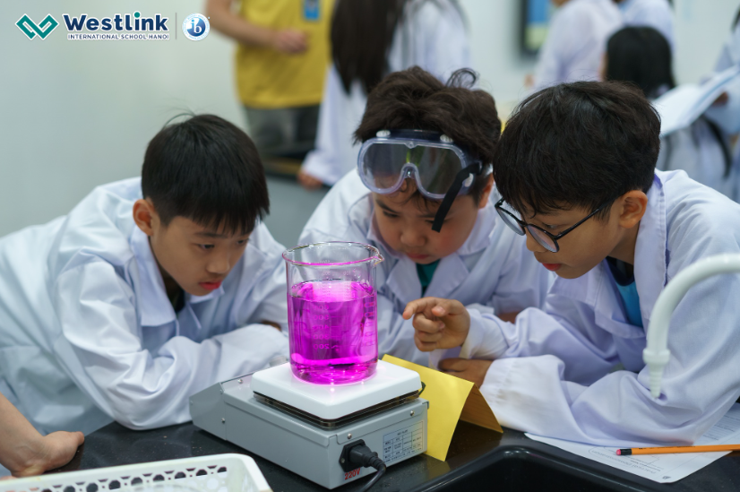 Tại Westlink, học sinh không chỉ được tiếp thu kiến thức học thuật mà còn được trực tiếp thực hành tại lớp học