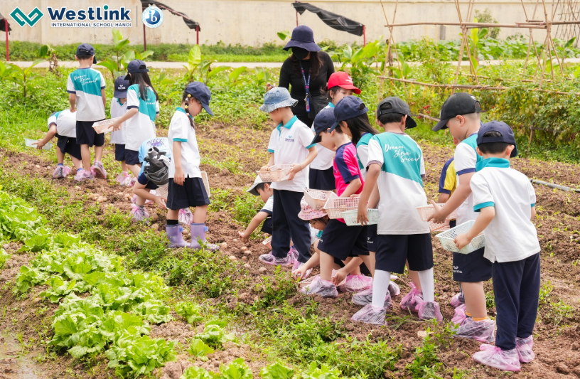 Tại Westlink, sự phát triển đa chiều và toàn diện của học sinh luôn được ưu tiên hàng đầu