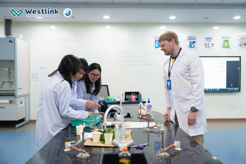 Các trường THPT quốc tế hoặc trường song ngữ tiêu chuẩn quốc tế có mức học phí cao