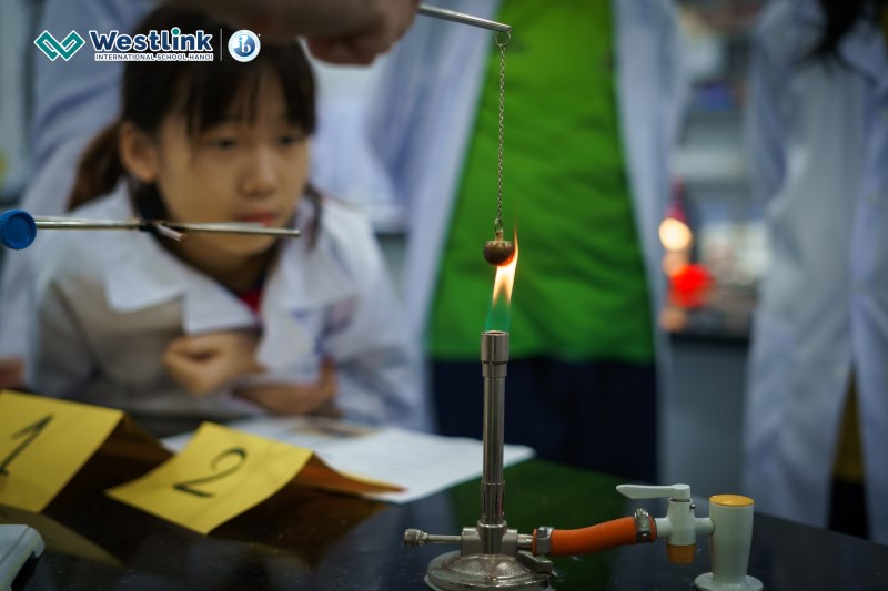 Phòng lab hiện đại tại Westlink với đầy đủ các thiết bị và dụng cụ thí nghiệm đạt chuẩn quốc tế