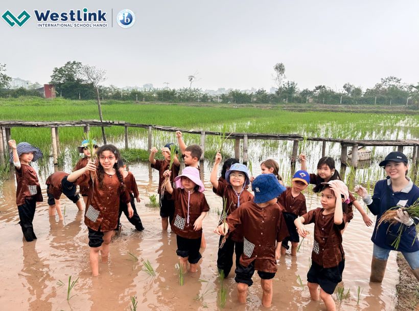 Một buổi trải nghiệm thực tế của học sinh trường Quốc tế Westlink
