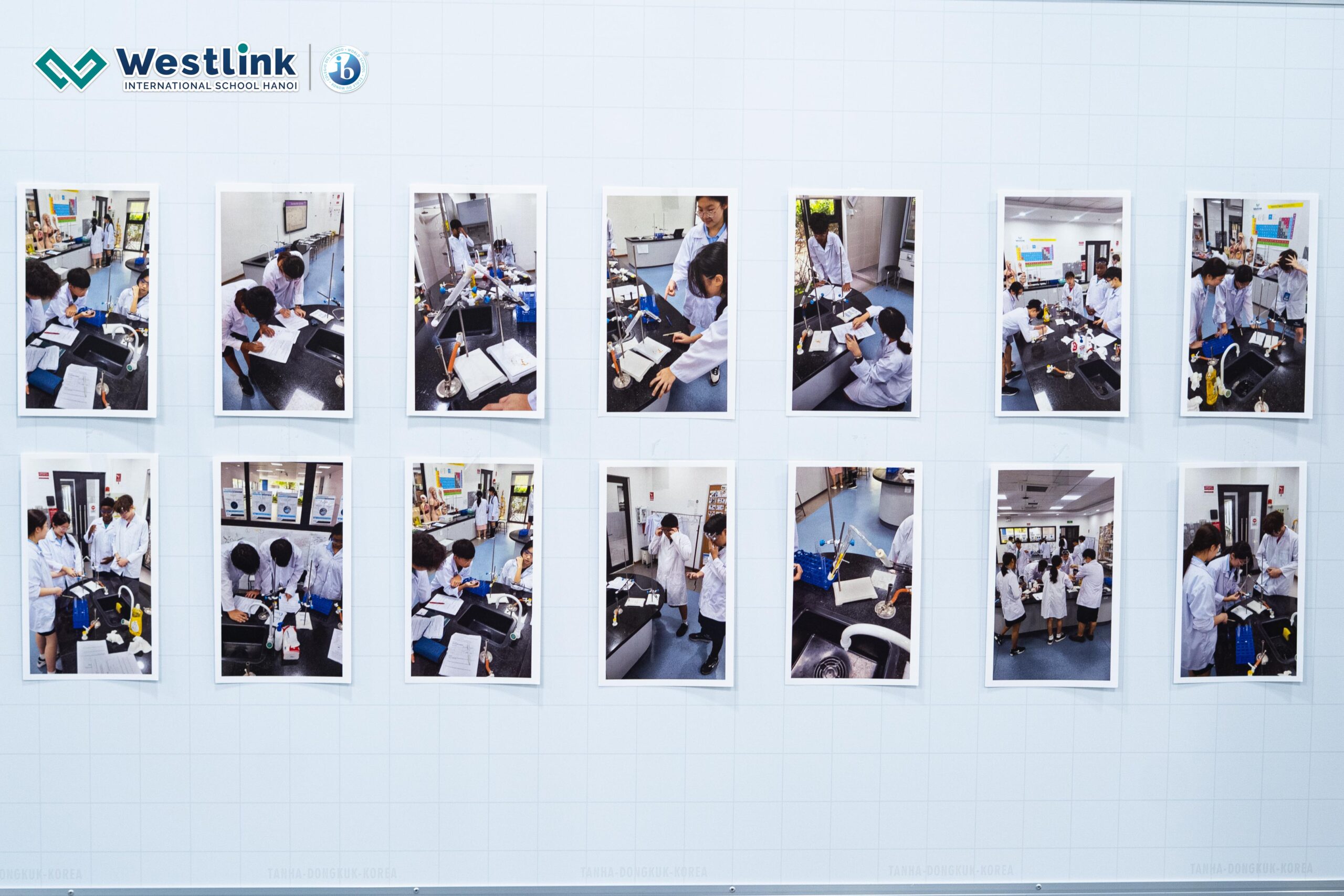 Triển lãm Học tập MYP & Song ngữ 4