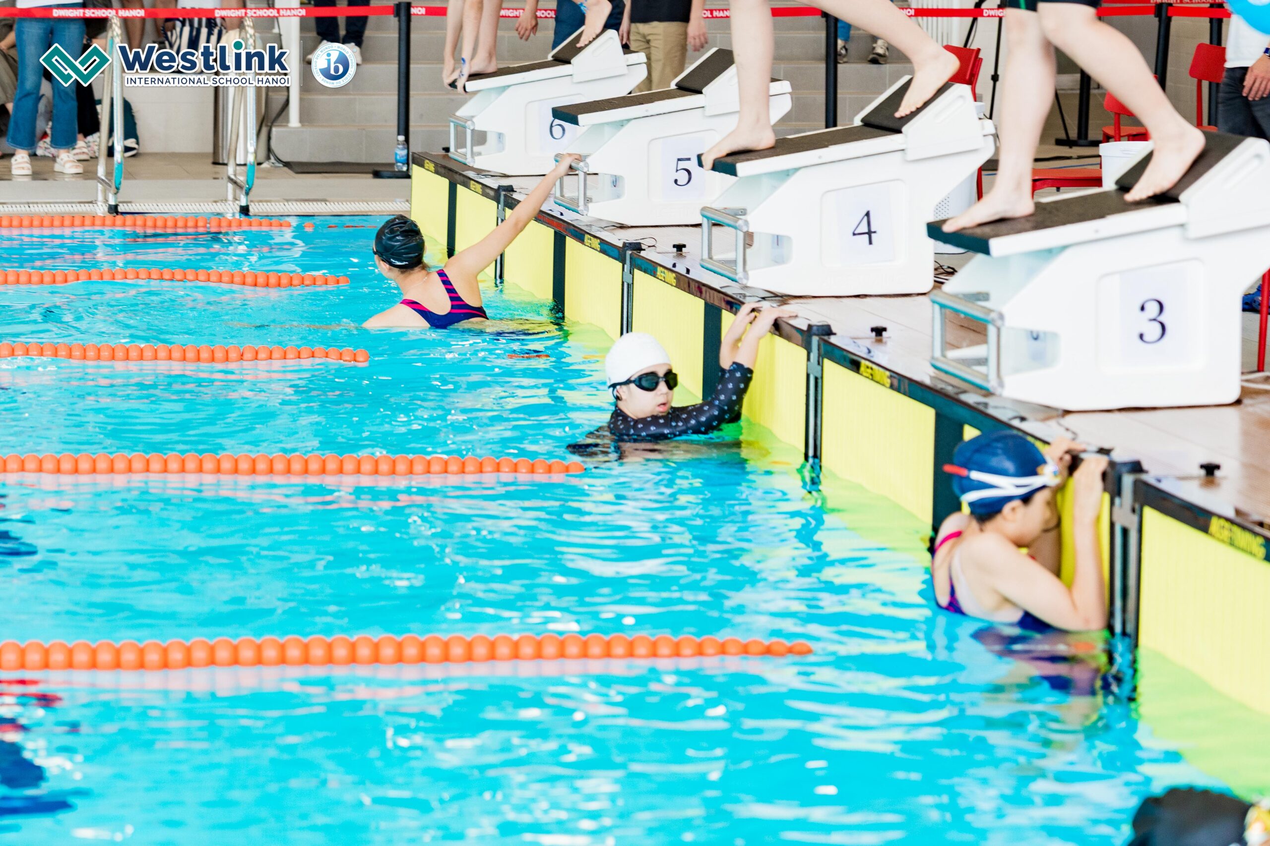 Westlink Shines at the Dwight Swimming Gala 2025!