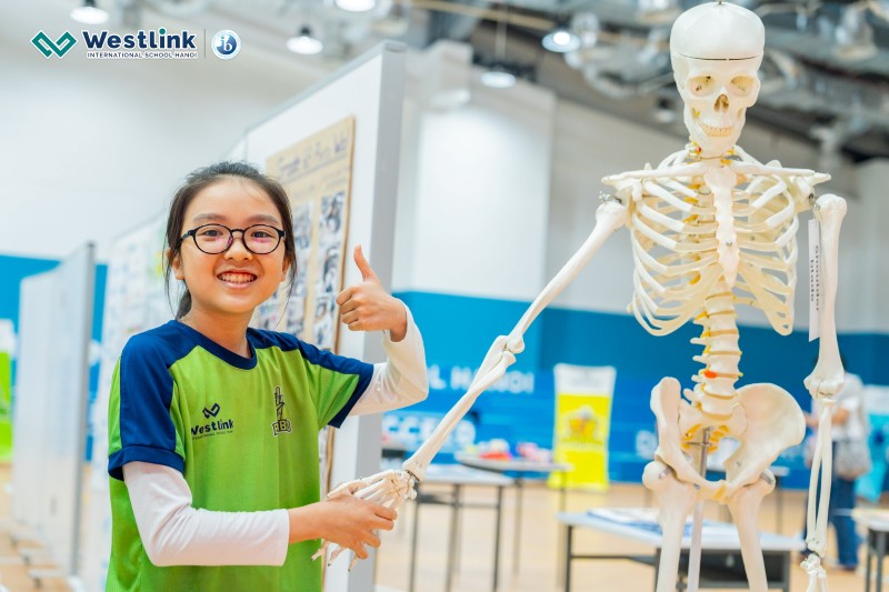 Chương trình STEM cho học sinh THCS mang lại nhiều giá trị vượt trội