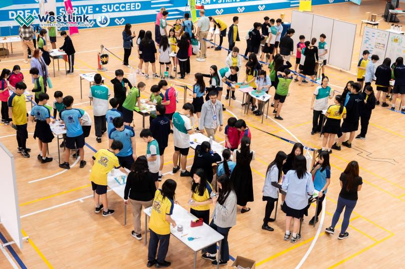 Nhà trường nên thường xuyên tổ chức các dự án thực hành giúp các em có nhiều trải nghiệm thực tế hơn