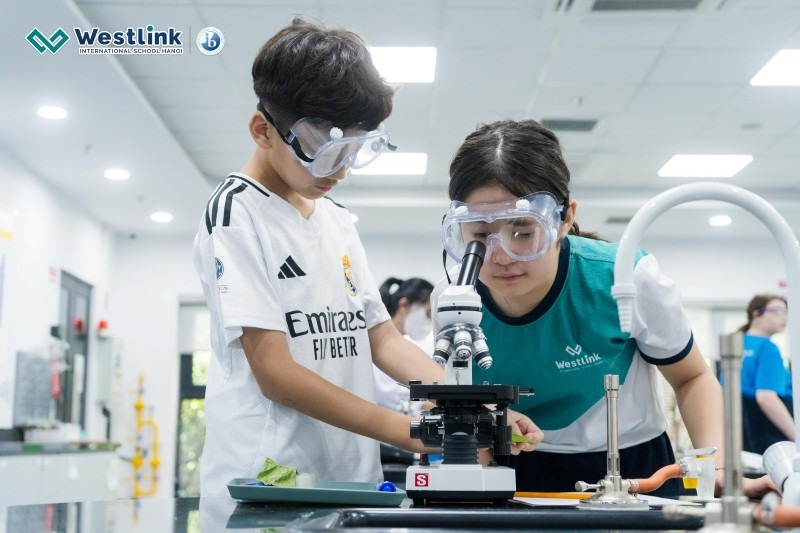 Gợi ý các sản phẩm STEM dễ thực hiện, giúp trẻ vừa học vừa chơi và phát triển kỹ năng